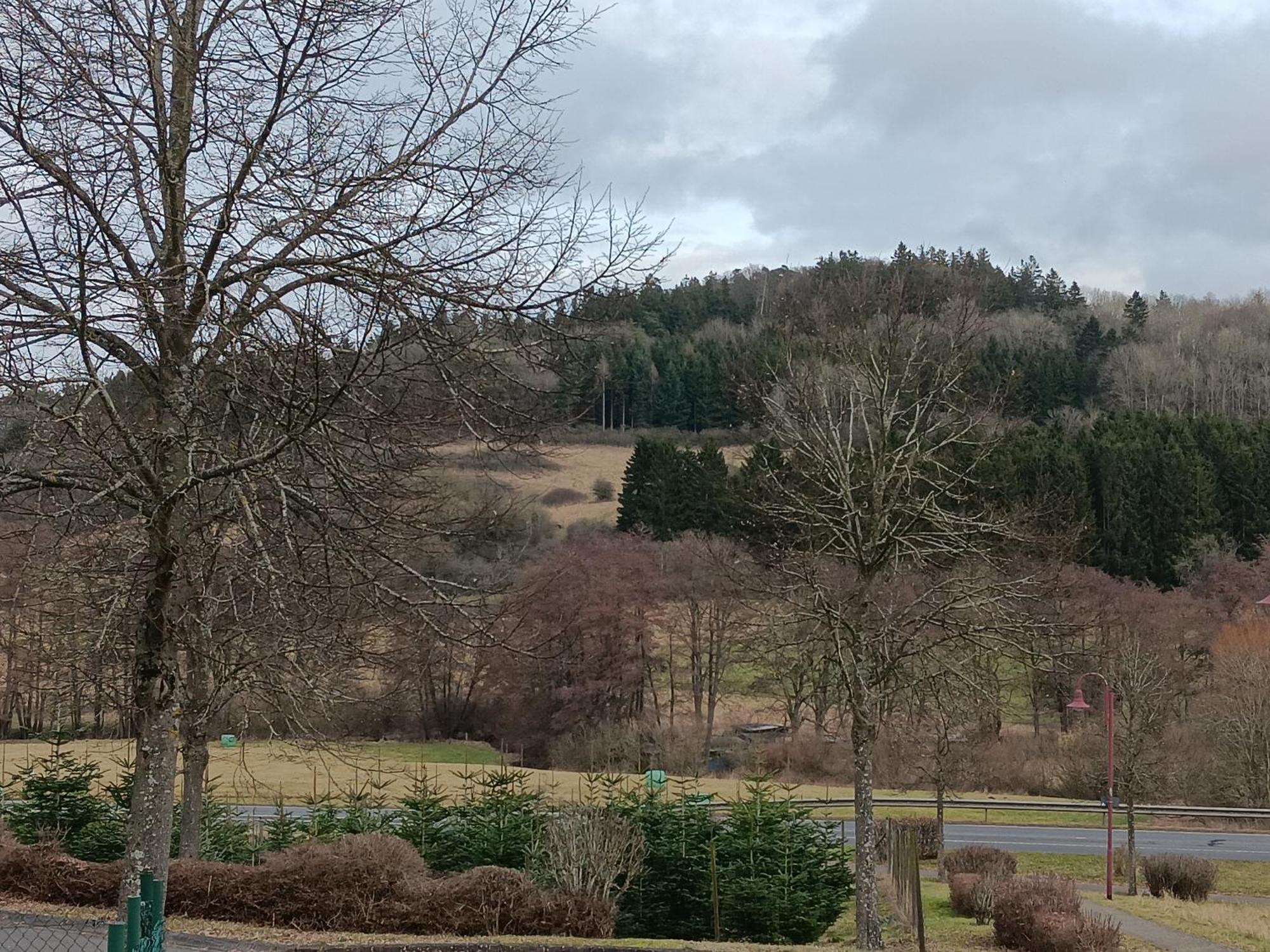 Ferienwohnung Schwarzenbergblick Kelberg Exterior foto